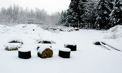 land art
