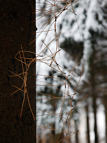 land art