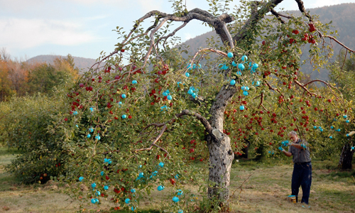 land art