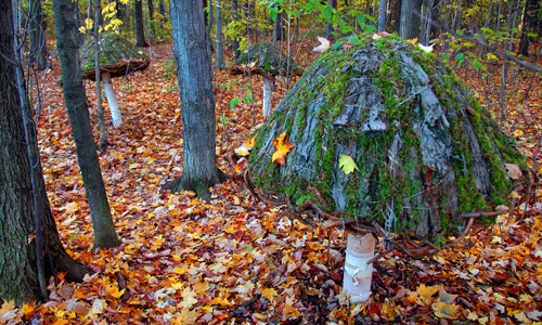 land art