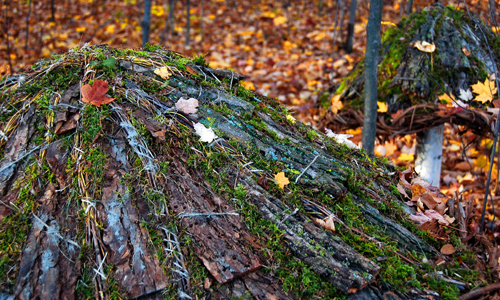 land art