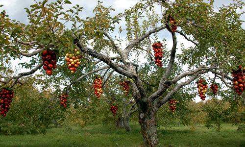 land art