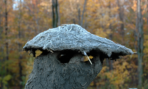 land art