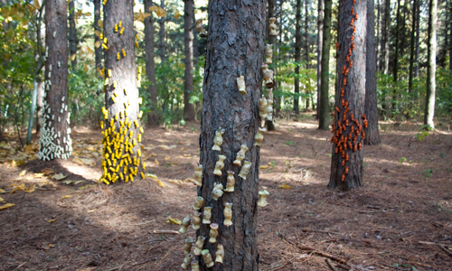 land art