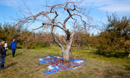 land art