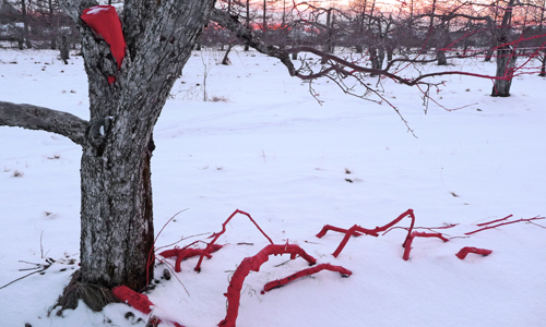 land art