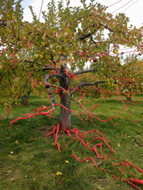 land art