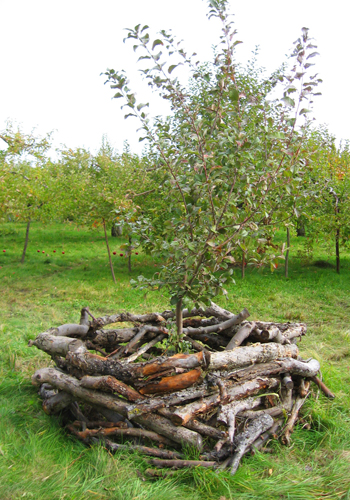 land art