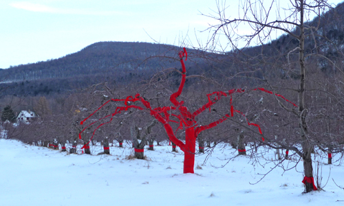 land art