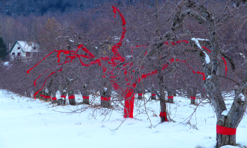 land art