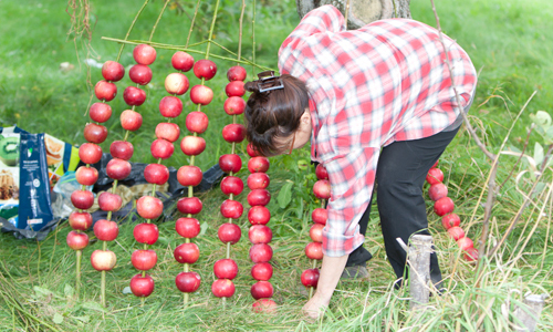 land art
