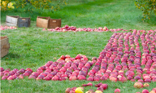 land art