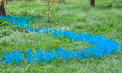 land art