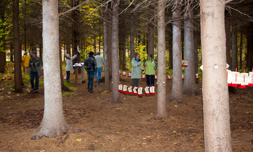 land art