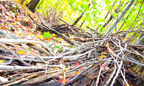 land art