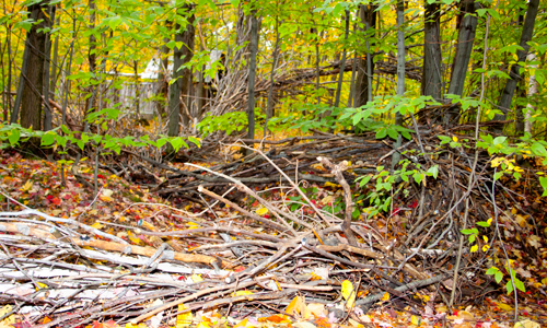 land art