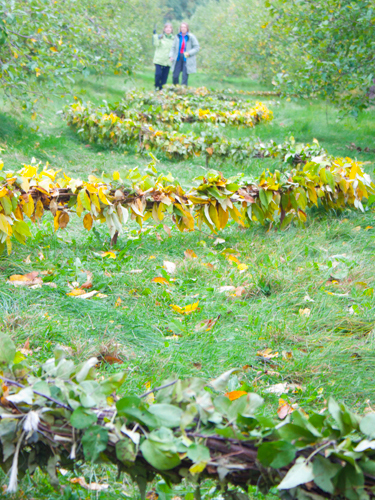 land art