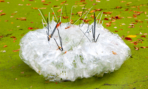 land art