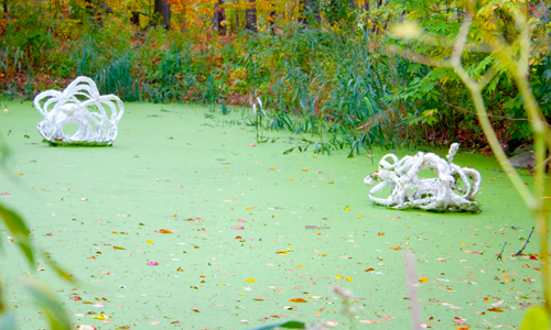 land art