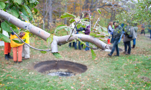 land art