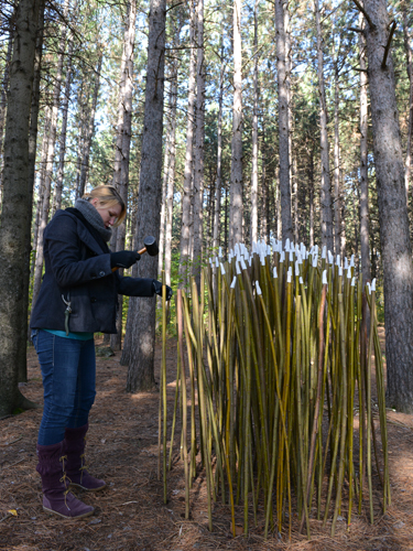 land art