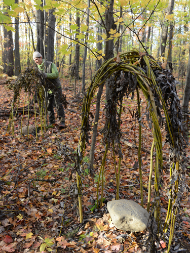 land art