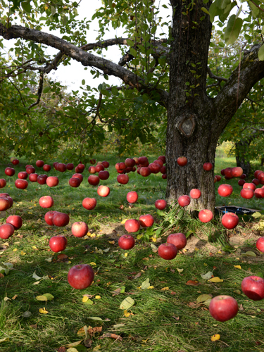 land art