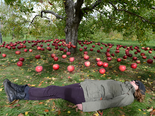 land art