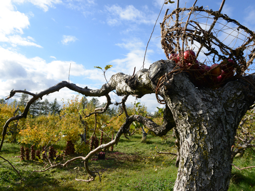 land art