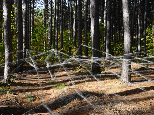 land art