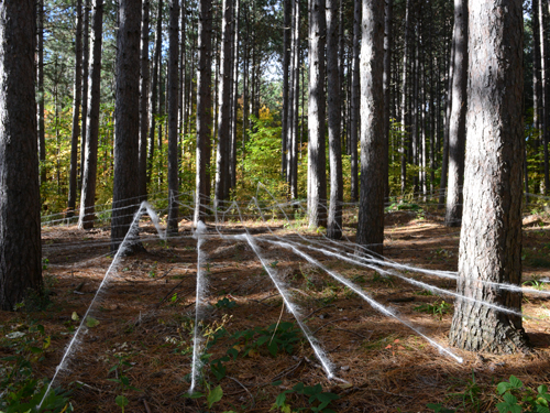 land art