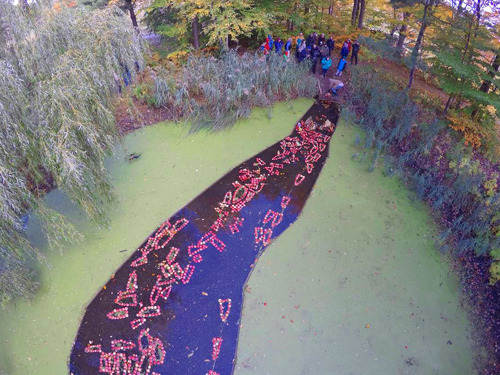 land art