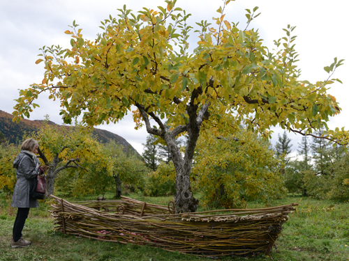 land art