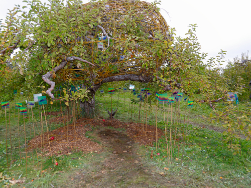 land art