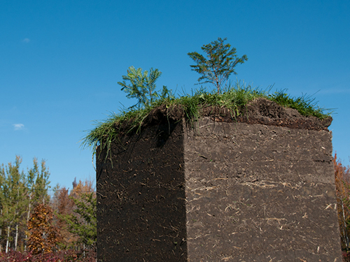 land art