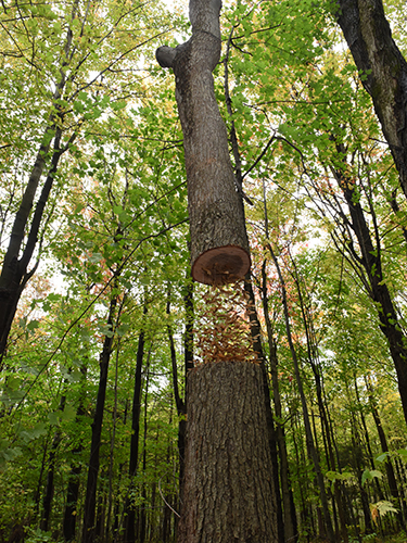 land art
