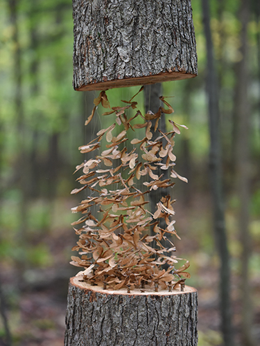land art