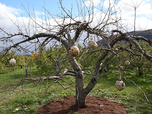 land art
