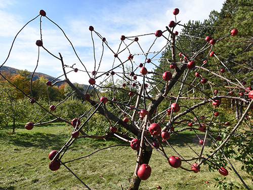 land art
