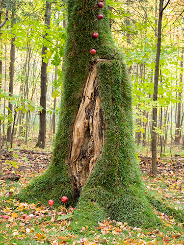 land art