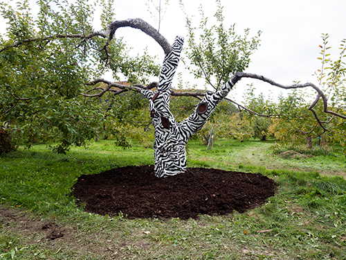 land art