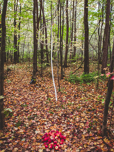 land art