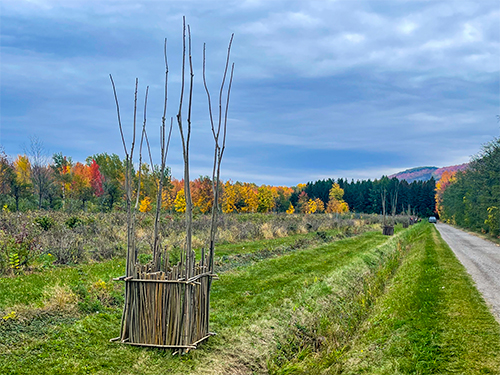 land art