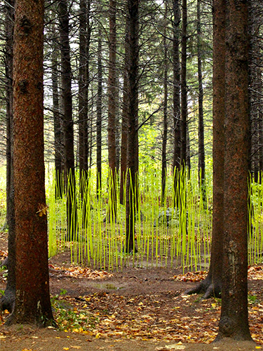 land art