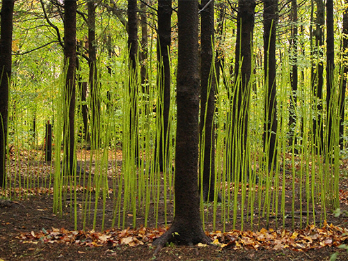 land art