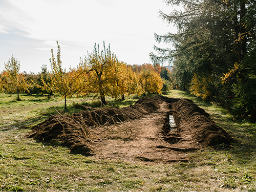 land art