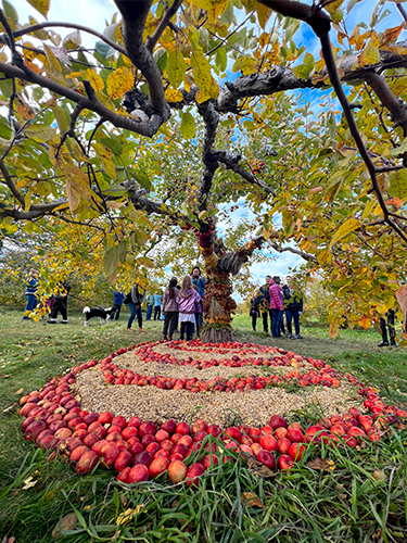land art
