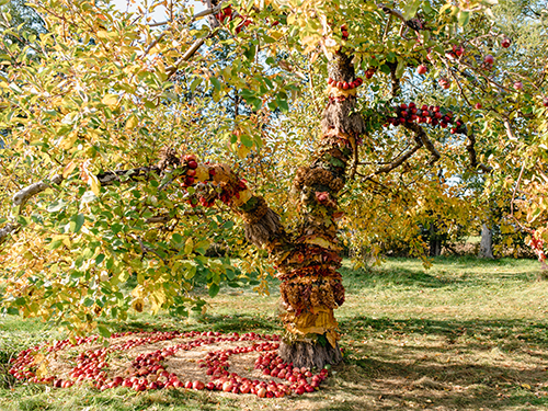 land art