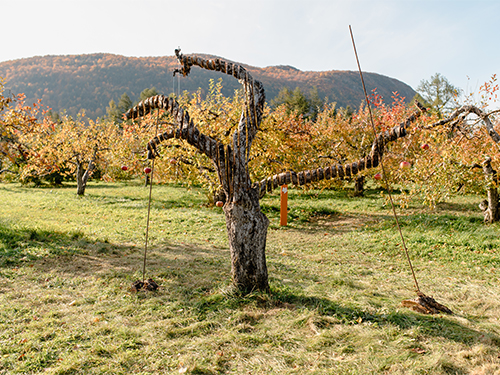 land art