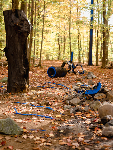 land art